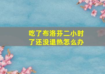 吃了布洛芬二小时了还没退热怎么办