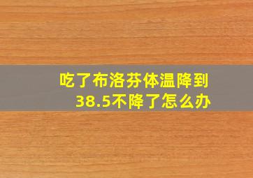 吃了布洛芬体温降到38.5不降了怎么办