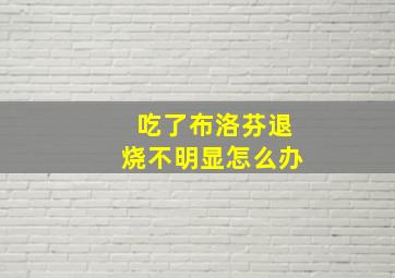 吃了布洛芬退烧不明显怎么办