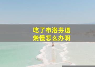 吃了布洛芬退烧慢怎么办啊