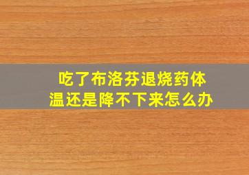 吃了布洛芬退烧药体温还是降不下来怎么办