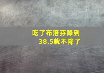 吃了布洛芬降到38.5就不降了