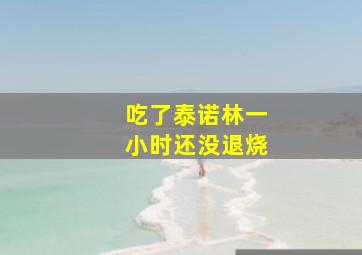 吃了泰诺林一小时还没退烧