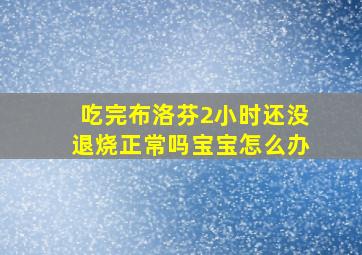 吃完布洛芬2小时还没退烧正常吗宝宝怎么办