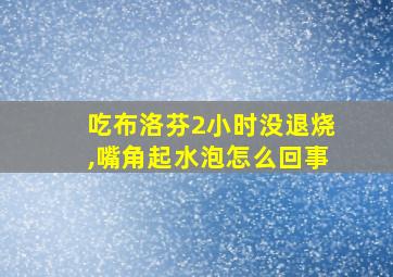 吃布洛芬2小时没退烧,嘴角起水泡怎么回事