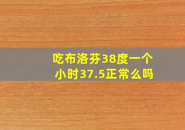 吃布洛芬38度一个小时37.5正常么吗