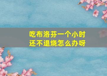 吃布洛芬一个小时还不退烧怎么办呀