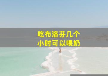 吃布洛芬几个小时可以喂奶