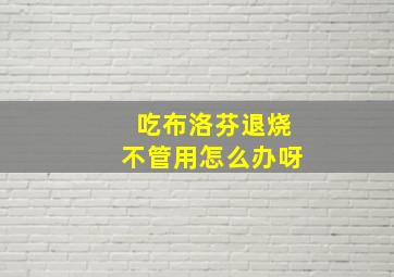 吃布洛芬退烧不管用怎么办呀