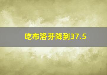 吃布洛芬降到37.5