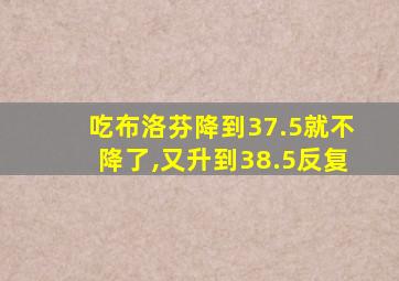 吃布洛芬降到37.5就不降了,又升到38.5反复