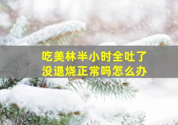 吃美林半小时全吐了没退烧正常吗怎么办