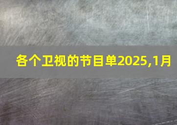 各个卫视的节目单2025,1月