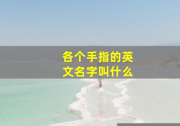 各个手指的英文名字叫什么