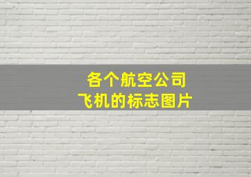 各个航空公司飞机的标志图片