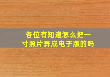 各位有知道怎么把一寸照片弄成电子版的吗