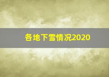 各地下雪情况2020