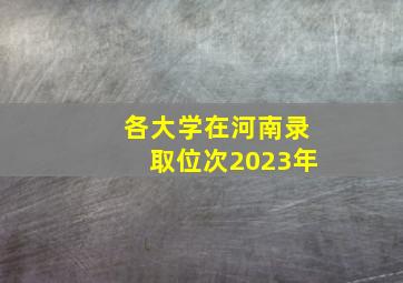 各大学在河南录取位次2023年