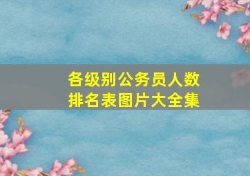 各级别公务员人数排名表图片大全集