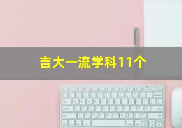 吉大一流学科11个