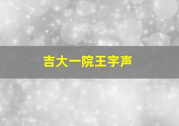 吉大一院王宇声