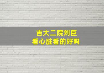 吉大二院刘臣看心脏看的好吗