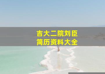 吉大二院刘臣简历资料大全