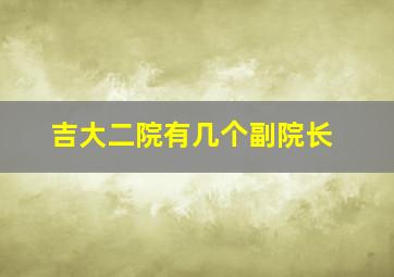 吉大二院有几个副院长