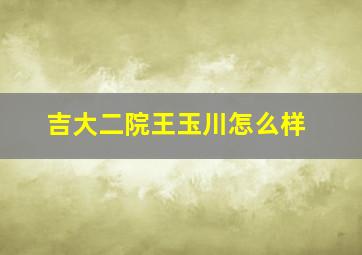 吉大二院王玉川怎么样