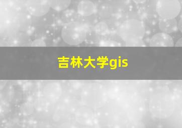 吉林大学gis