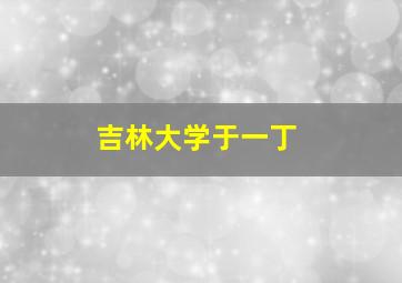 吉林大学于一丁