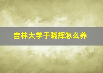 吉林大学于晓辉怎么养