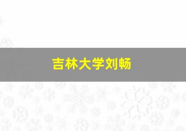 吉林大学刘畅