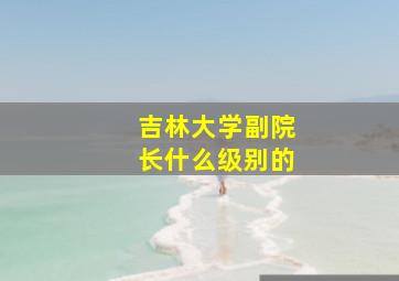 吉林大学副院长什么级别的