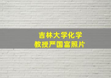 吉林大学化学教授严国富照片