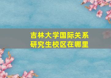 吉林大学国际关系研究生校区在哪里