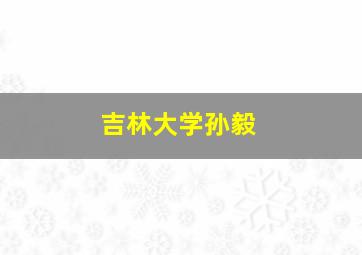 吉林大学孙毅