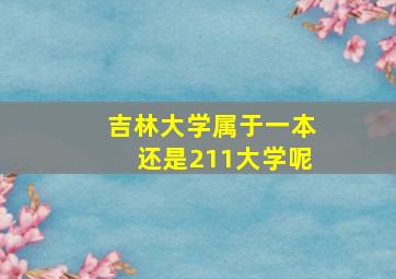 吉林大学属于一本还是211大学呢