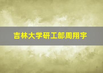 吉林大学研工部周翔宇