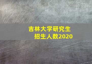 吉林大学研究生招生人数2020