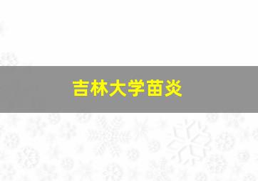 吉林大学苗炎