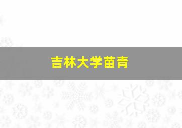 吉林大学苗青