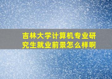 吉林大学计算机专业研究生就业前景怎么样啊