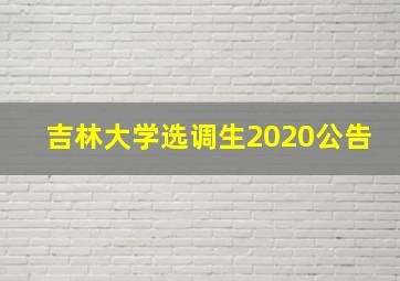 吉林大学选调生2020公告