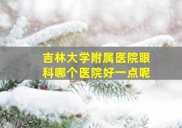 吉林大学附属医院眼科哪个医院好一点呢