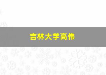 吉林大学高伟