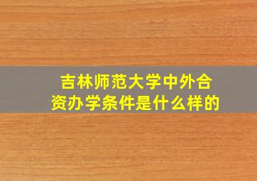 吉林师范大学中外合资办学条件是什么样的