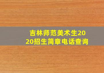 吉林师范美术生2020招生简章电话查询