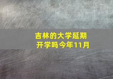 吉林的大学延期开学吗今年11月