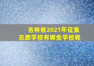 吉林省2021年征集志愿学校有哪些学校呢